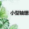 小型軸珊瑚（關于小型軸珊瑚簡介）