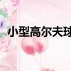 小型高爾夫球2（關于小型高爾夫球2簡介）