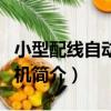 小型配線自動打碼機（關于小型配線自動打碼機簡介）