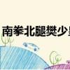 南拳北腿樊少皇20集劇情（南拳北腿樊少皇）