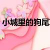 小城里的狗尾草（關于小城里的狗尾草簡介）
