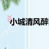 小城清風醉夢（關于小城清風醉夢簡介）