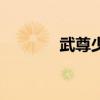 武尊少林電視劇（武尊少林）