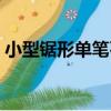小型鋸形單筆石（關于小型鋸形單筆石簡介）