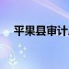 平果縣審計局（關于平果縣審計局介紹）