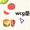 wcg是什么游戲（wcg是什么）