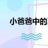 小爸爸中的夏天是誰（小爸爸中的夏天）