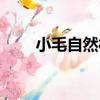 小毛自然村（關于小毛自然村簡介）