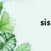 sis650 倍頻（sis650）