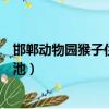 邯鄲動物園猴子住綠藻污水池（邯鄲動物園猴子住綠藻污水池）