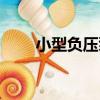 小型負壓泵（關于小型負壓泵簡介）