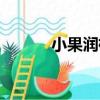小果潤楠（關于小果潤楠簡介）