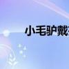 小毛驢戴芬（關于小毛驢戴芬簡介）