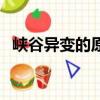 峽谷異變的原因有哪些（峽谷異變的原因）