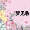夢見收拾行李箱（收拾行李箱）