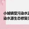 小城鎮受污染水源生態修復關鍵技術研究（關于小城鎮受污染水源生態修復關鍵技術研究簡介）