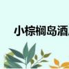 小棕櫚島酒店（關于小棕櫚島酒店簡介）