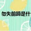 勿失前蹄是什么生肖（馬失前蹄是什么生肖）
