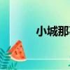 小城那事（關于小城那事簡介）