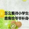 怎么看待小學生拔標本鹿角給爺爺補身體?（小學生拔標本鹿角給爺爺補身體）
