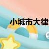 小城市大律師（關于小城市大律師簡介）
