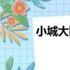 小城大隊（關于小城大隊簡介）