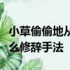 小草偷偷地從土里鉆出來嫩嫩的綠綠的用了什么修辭手法