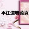 平江道巖葆真觀（關于平江道巖葆真觀介紹）