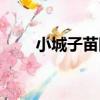 小城子苗圃（關于小城子苗圃簡介）