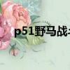 p51野馬戰斗機百科（p 51野馬戰斗機）