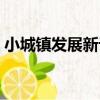 小城鎮發展新論（關于小城鎮發展新論簡介）