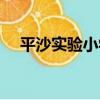 平沙實驗小學（關于平沙實驗小學介紹）