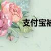支付寶被罰款案件（支付寶被罰）