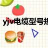 yjv電纜型號規格表圖片（yjv電纜型號規格）