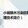 小城鎮水污染控制與治理技術（關于小城鎮水污染控制與治理技術簡介）