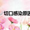 切口感染原因分析及整改措施（切口感染）