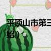 平頂山市第三高中（關于平頂山市第三高中介紹）
