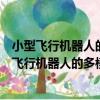 小型飛行機器人的多模態切換制導控制策略研究（關于小型飛行機器人的多模態切換制導控制策略研究簡介）