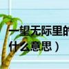 一望無際里的望是什么意思（一望無際的望是什么意思）