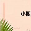 小櫥寶（關于小櫥寶簡介）