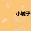 小城子村（關于小城子村簡介）