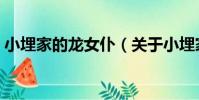 小埋家的龍女仆(關于小埋家的龍女仆簡介)