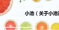 小池(關于小池簡介)