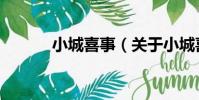 小城喜事(關于小城喜事簡介)