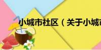 小城市社區(關于小城市社區簡介)