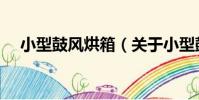 小型鼓風烘箱(關于小型鼓風烘箱簡介)