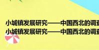 小城鎮發展研究——中國西北的調查兼與美國的比較(關于小城鎮發展研究——中國西北的調查兼與美國的比較簡介)