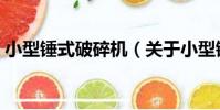 小型錘式破碎機(關于小型錘式破碎機簡介)