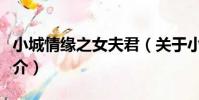 小城情緣之女夫君(關于小城情緣之女夫君簡介)