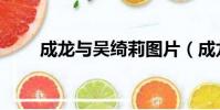成龍與吳綺莉圖片(成龍與吳綺莉)